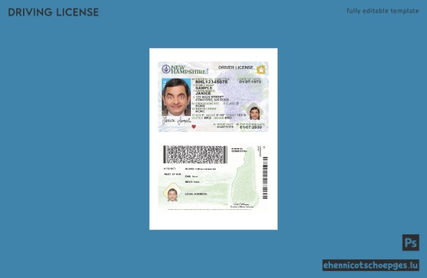 USA, New Hampshire: Beispielansicht des Führerscheins (ab 2025)